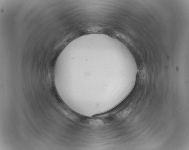 X0000069360572200606091604