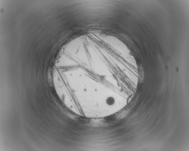 X0000069360573200606091604