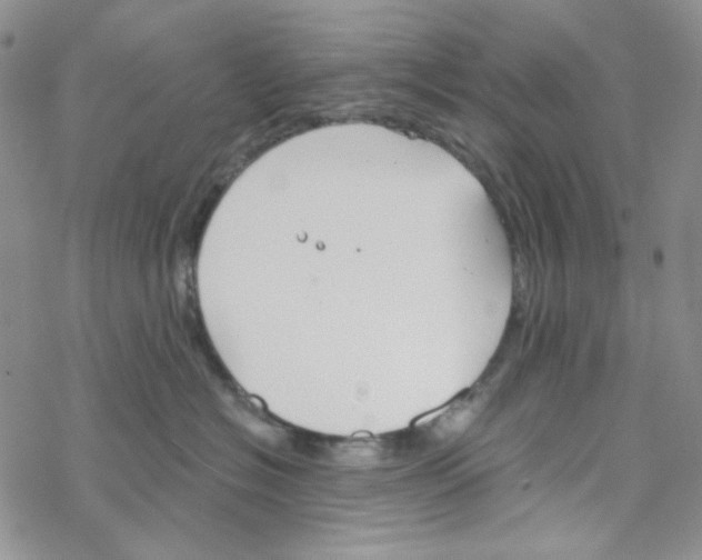 X0000069360574200606091604