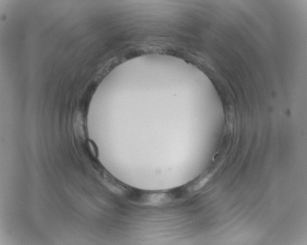 X0000069360575200606091604