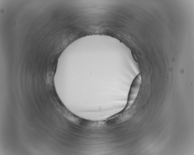 X0000069360576200606091604