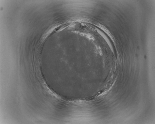 X0000069360577200606091603