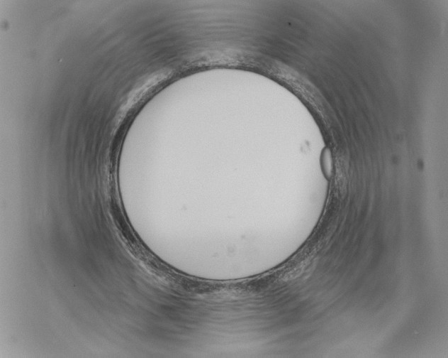 X0000069360578200606091603