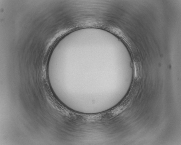 X0000069360579200606091603