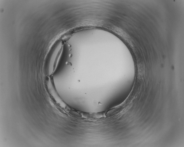 X0000069360580200606091603