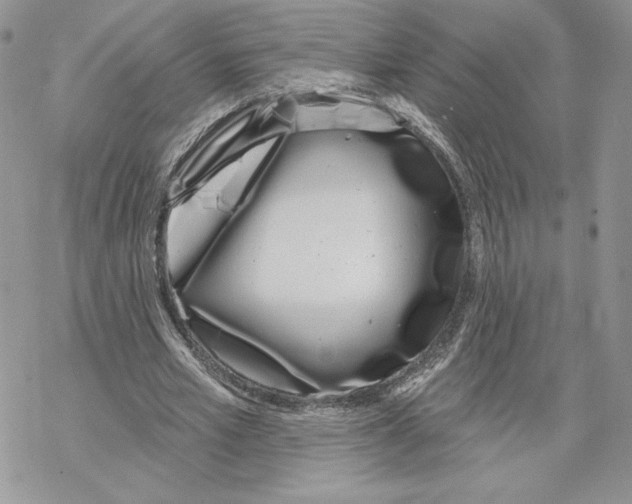 X0000069360581200606091603