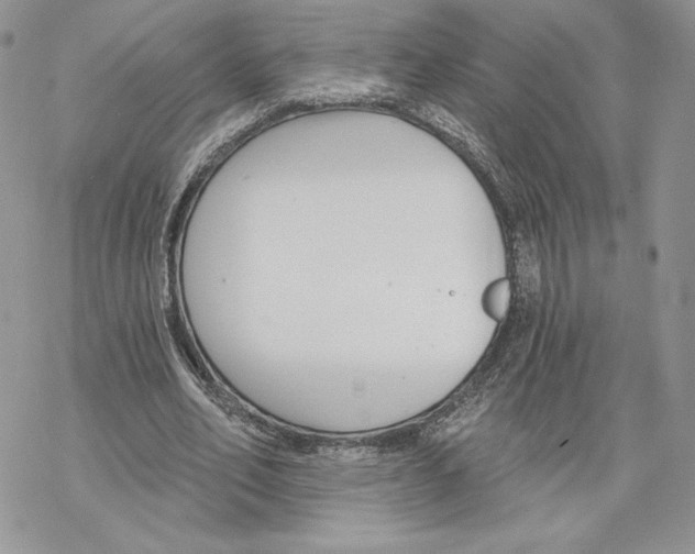 X0000069360582200606091603