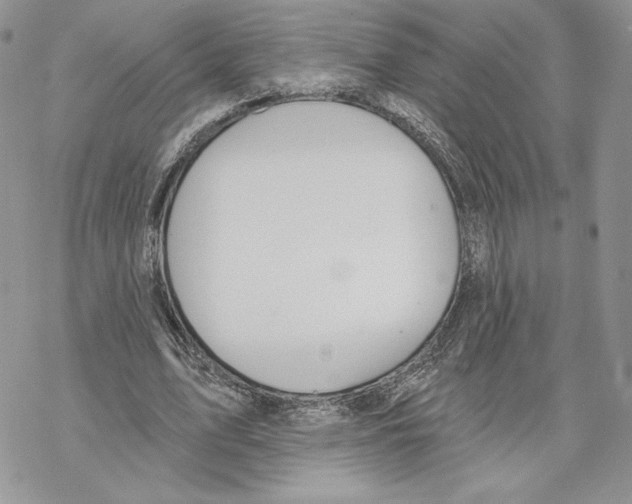 X0000069360583200606091603