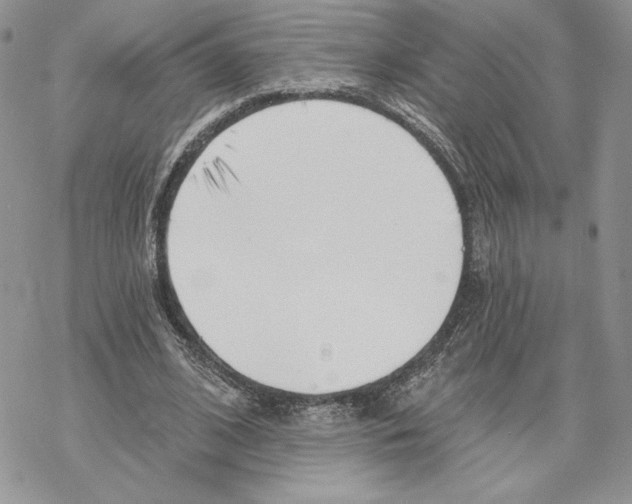 X0000069360584200606091603