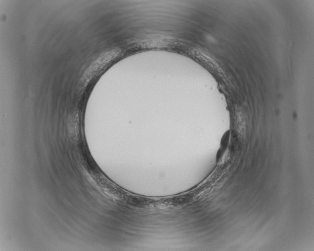 X0000069360586200606091603