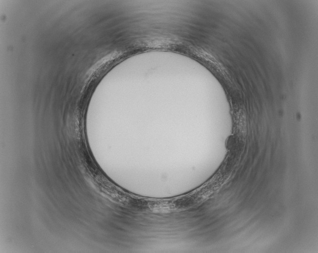 X0000069360587200606091603