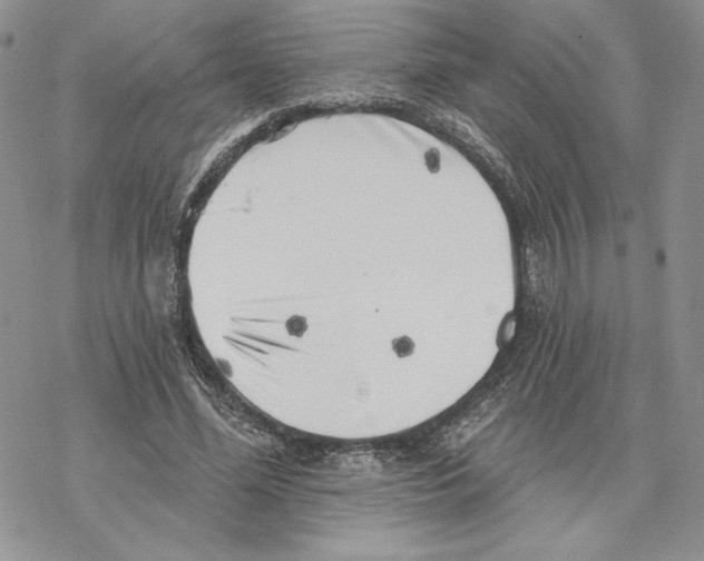 X0000069360588200606091603