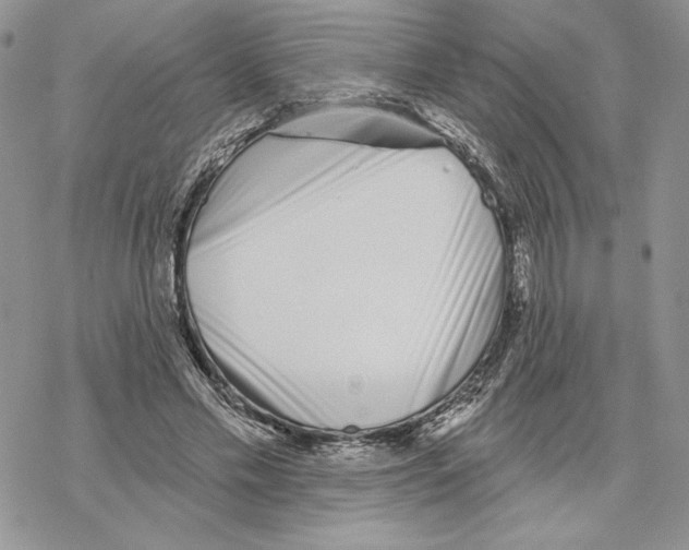 X0000069360589200606091603