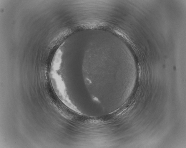 X0000069360590200606091603