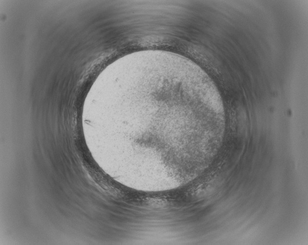 X0000069360592200606091603