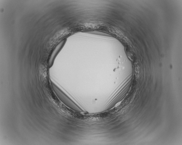 X0000069360593200606091603