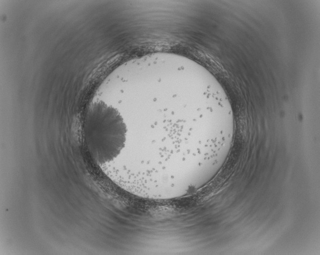 X0000069360594200606091603