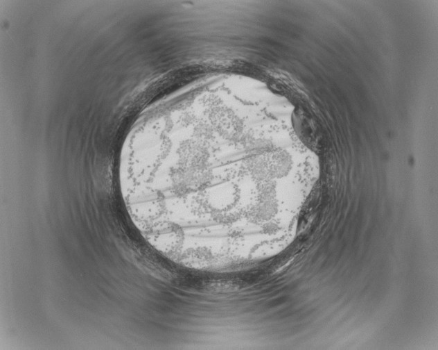 X0000069360596200606091603