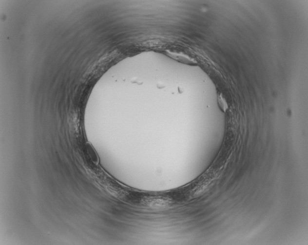 X0000069360597200606091603