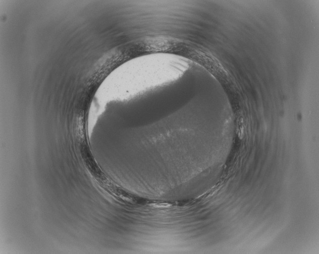 X0000069360598200606091603