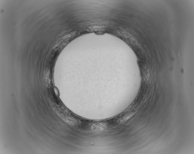 X0000069360599200606091603