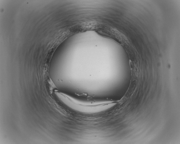 X0000069360601200606091603