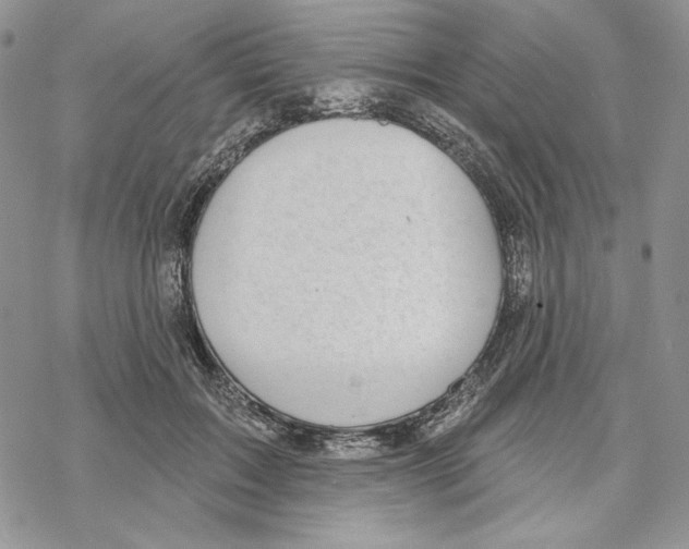 X0000069360603200606091603