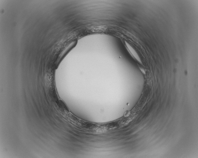 X0000069360604200606091603