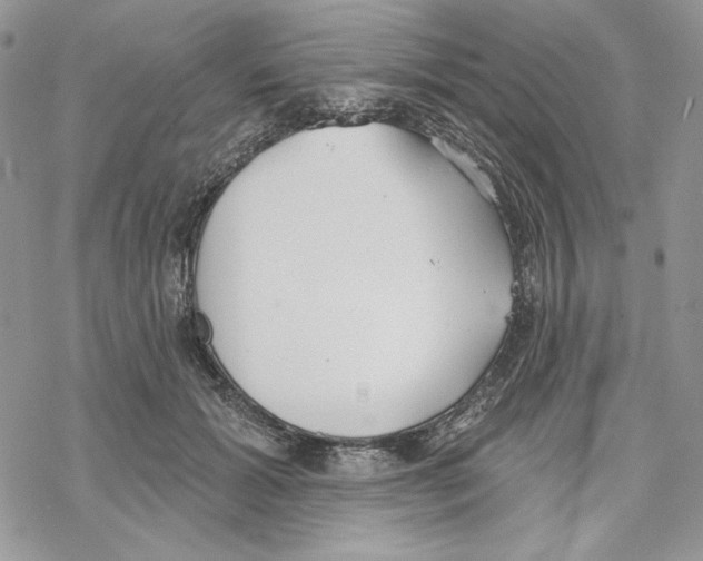 X0000069360605200606091603