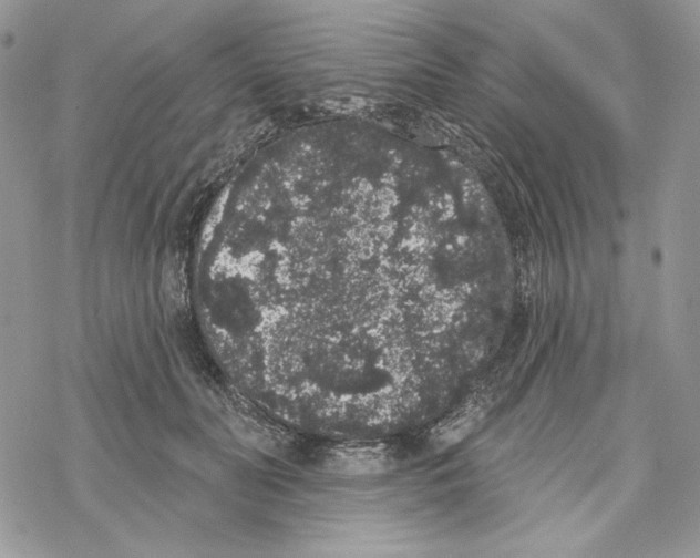 X0000069360606200606091603