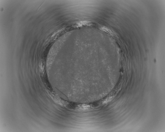 X0000069360607200606091603