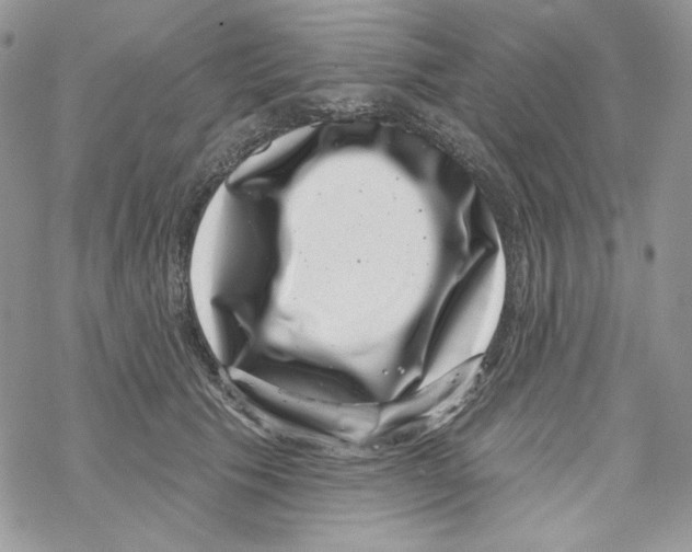 X0000069360609200606091603