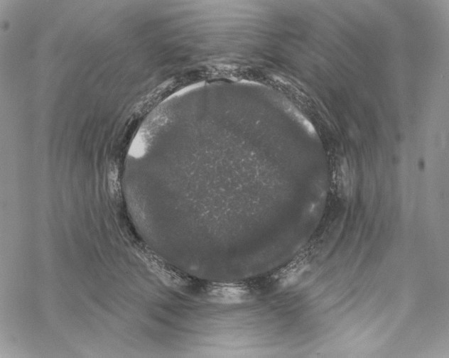 X0000069360610200606091603