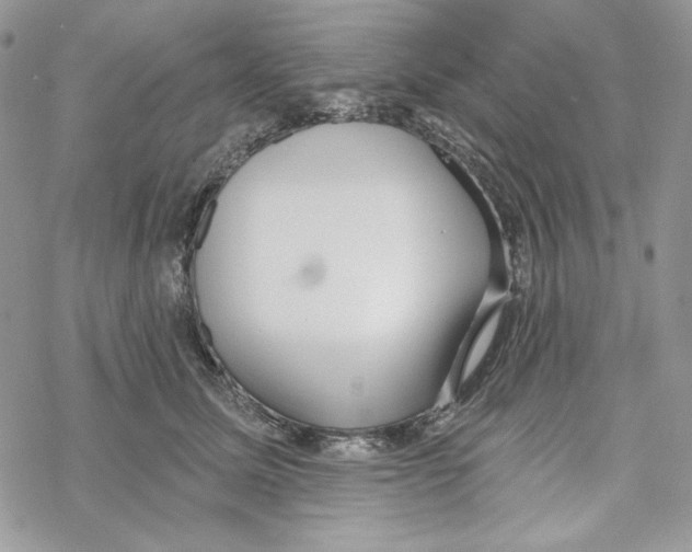 X0000069360611200606091603