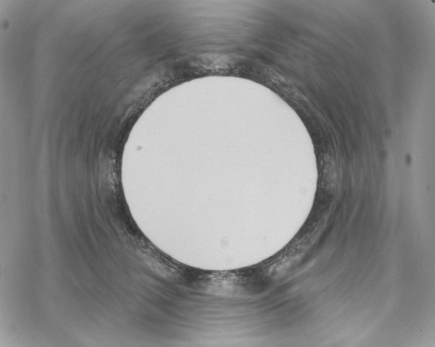 X0000069360612200606091603