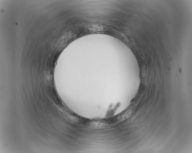 X0000069360614200606091602