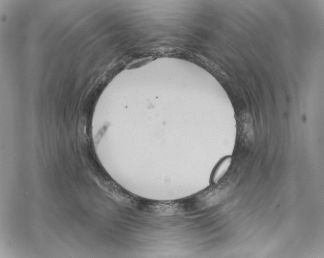 X0000069360615200606091602