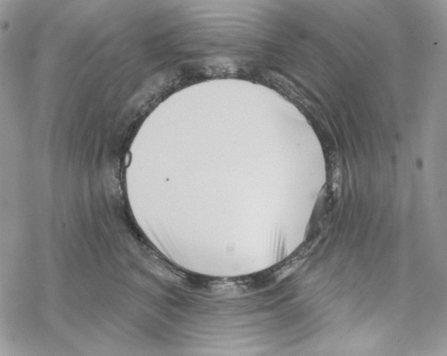 X0000069360616200606091602