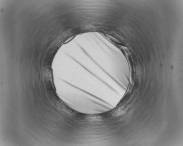 X0000069360617200606091602