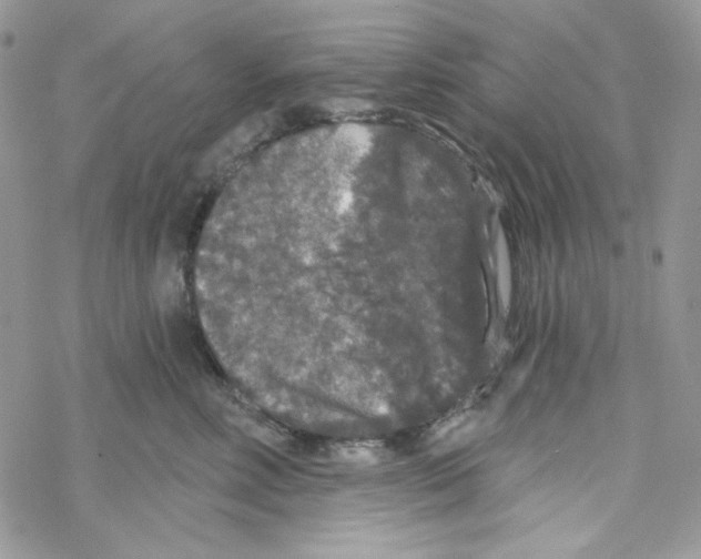 X0000069360618200606091602