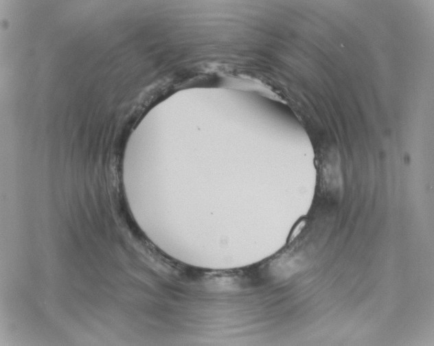 X0000069360620200606091602