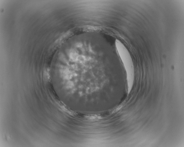 X0000069360621200606091602