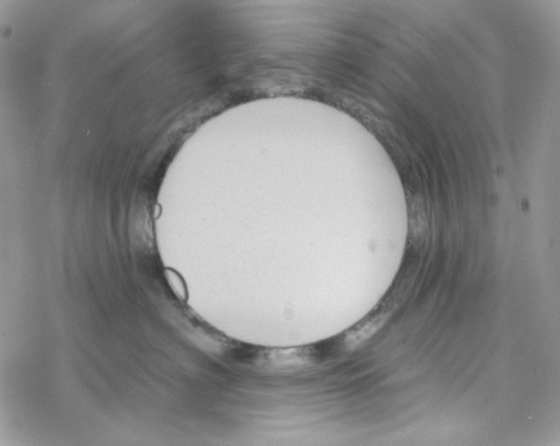 X0000069360622200606091602