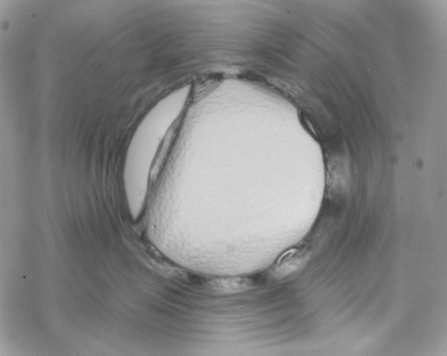 X0000069360623200606091602