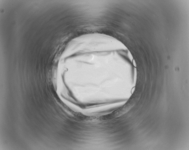 X0000069360624200606091602