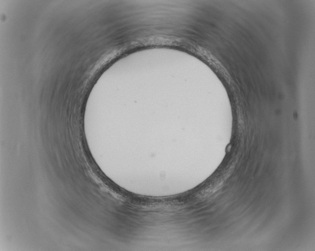 X0000069360625200606091602