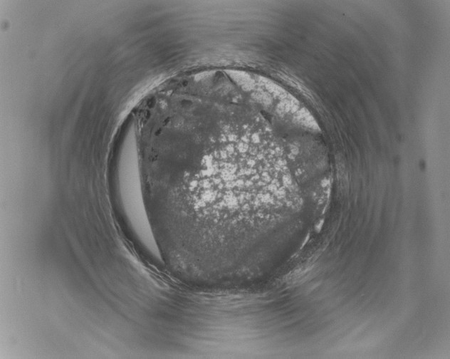 X0000069360626200606091602