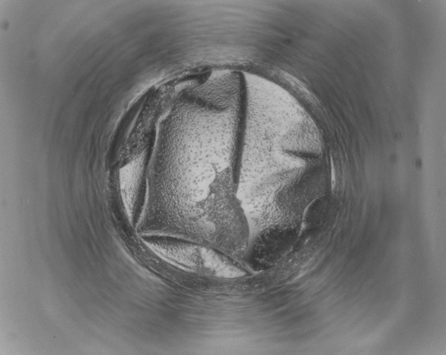 X0000069360627200606091602