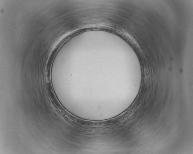 X0000069360628200606091602