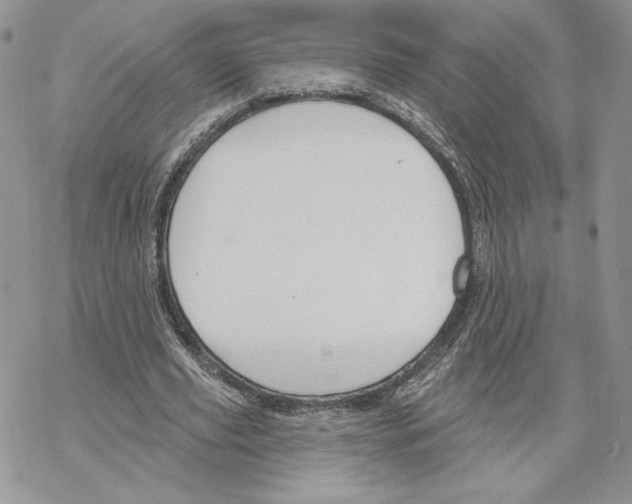 X0000069360629200606091602